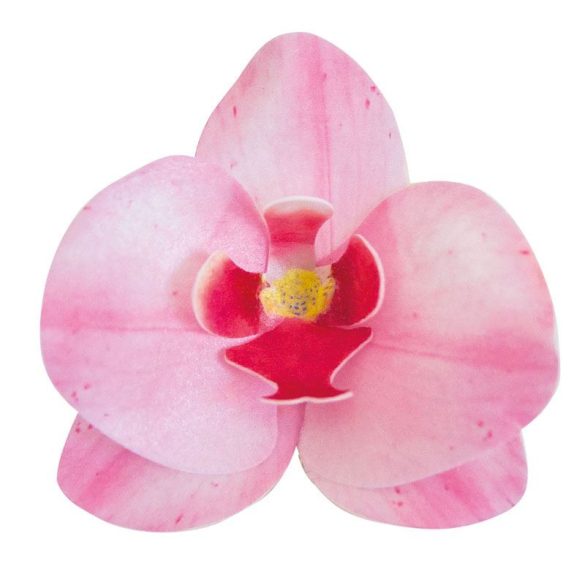 Ostyavirág Orchidea rózsaszín