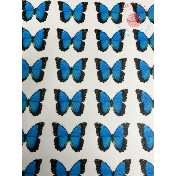 Ostya lap A4 Pillangó kék 28db