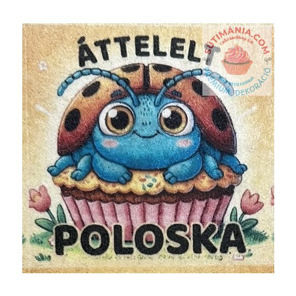 Áttelet Poloska ostyalap A/4 35db