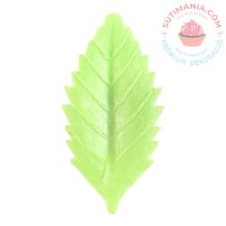 OSTYALEVÉL VILÁGOSZÖLD