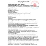 A4 Ostya dekor ősz 11