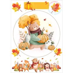 A4 Ostya dekor ősz 13