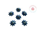 Cukor csillagvirág világos közép kék