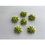 Cukor csillagvirág világos zöld