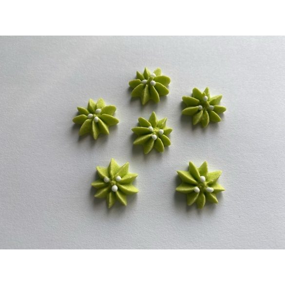 Cukor csillagvirág világos zöld