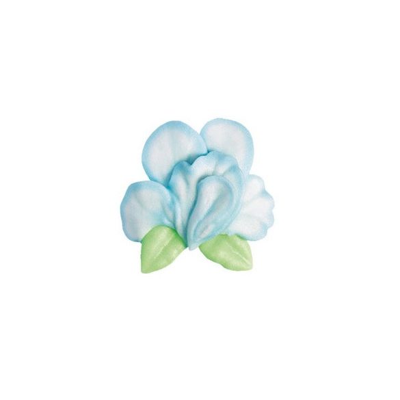 Orchidea Kék