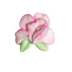 Orchidea Rózsaszín