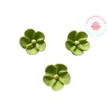 Cukor szellő rózsa vegyes 100db (RENDELÉSRE)