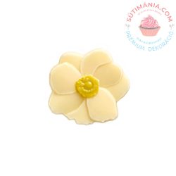 Csokoládé Magnolia Flower white