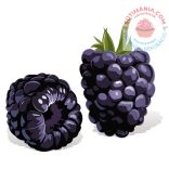 Fehér csokoládé Szeder